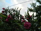 DSCN0637