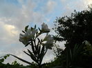 DSCN0641