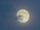 DSCN0644