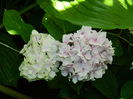 DSCN0657