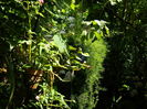 DSCN0665