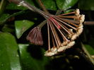 DSCN0682