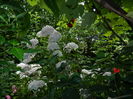 DSCN0686