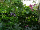 DSCN0687