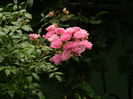 DSCN0696