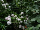 DSCN0697