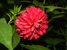 DSCN0702