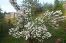 SAM_0616