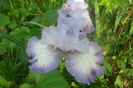 SAM_0579