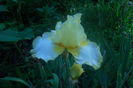 SAM_0575