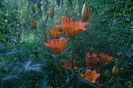 SAM_0573