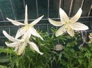 20160623_190511