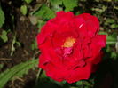 DSC08157