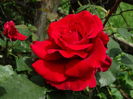 DSC07903