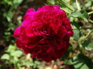 DSC08160