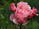 DSC07935