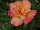 DSC08169