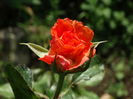 DSC08171