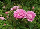 DSC07905