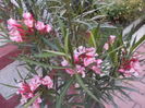 DSCN0304[1]
