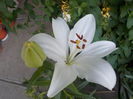 DSCN0291[1]