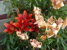 DSCN0293[1]