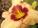 P1290291
