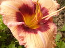 P1290294