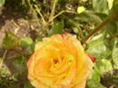 P1290321