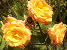 P1290327