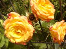 P1290328