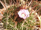 P1290341