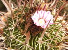 P1290343