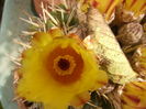 P1290345