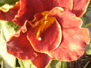P1290367