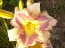 P1290370