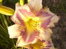 P1290371