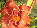 P1290377