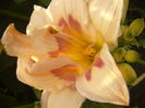 P1290384