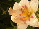 P1290386