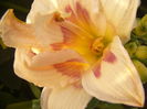 P1290391