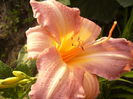 P1290407