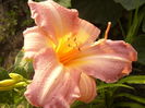 P1290409