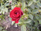 P1290417