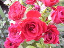 P1290421