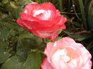 P1290427