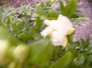 P1290436