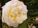 P1290440