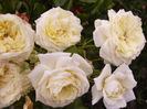 P1290442