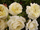 P1290443
